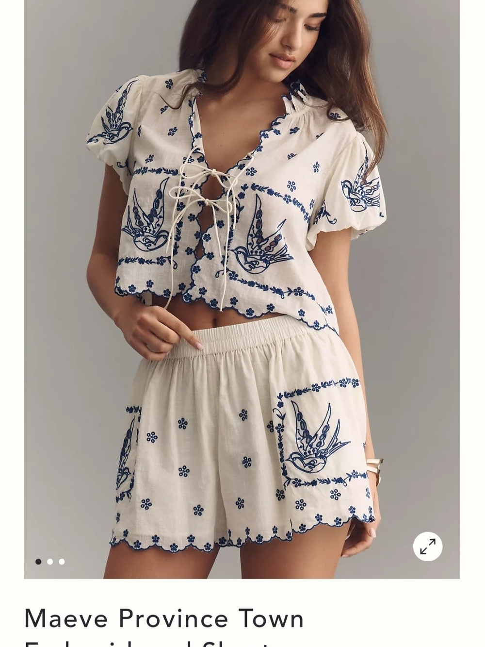 NWT Anthropologie Maeve Province Town Embroidered Shorts Size Small